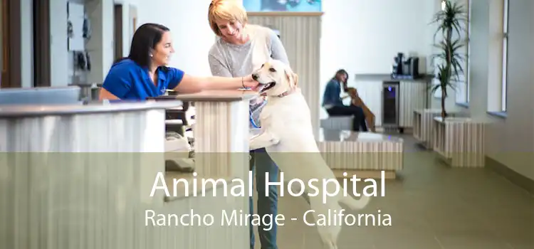 Animal Hospital Rancho Mirage - California