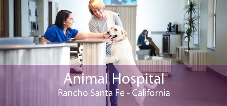 Animal Hospital Rancho Santa Fe - California