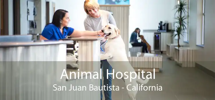 Animal Hospital San Juan Bautista - California