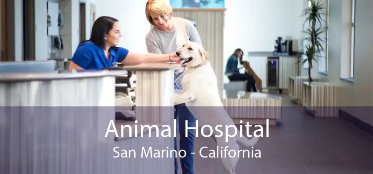 Animal Hospital San Marino - California