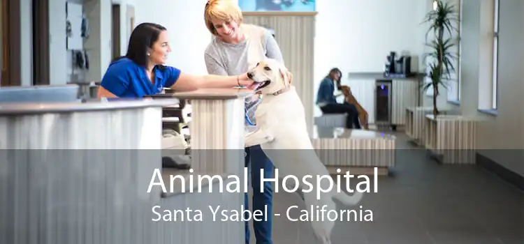 Animal Hospital Santa Ysabel - California