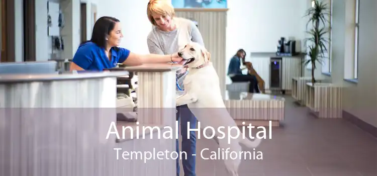 Animal Hospital Templeton - California