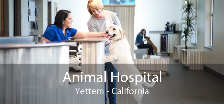 Animal Hospital Yettem - California