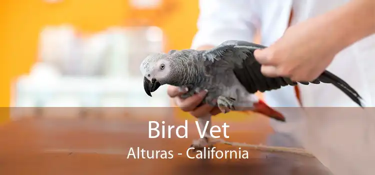 Bird Vet Alturas - California
