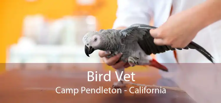 Bird Vet Camp Pendleton - California