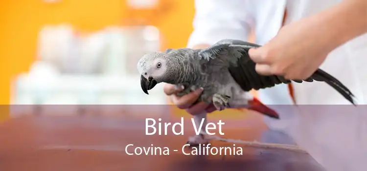 Bird Vet Covina - California