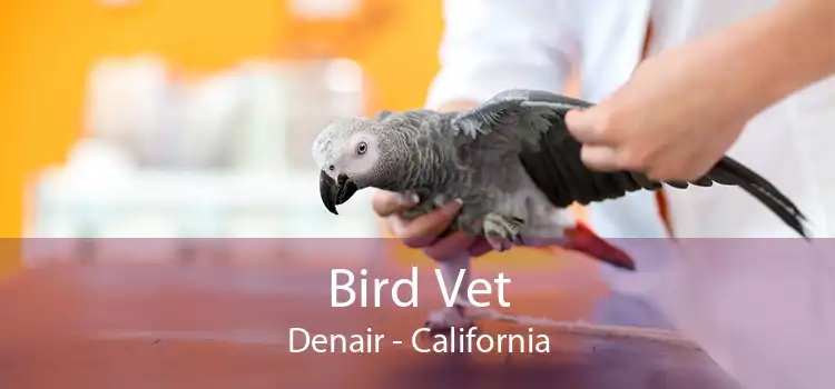 Bird Vet Denair - California