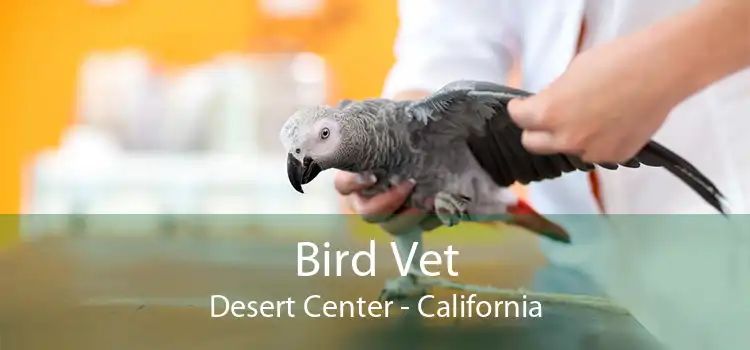 Bird Vet Desert Center - California