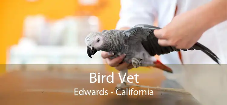 Bird Vet Edwards - California