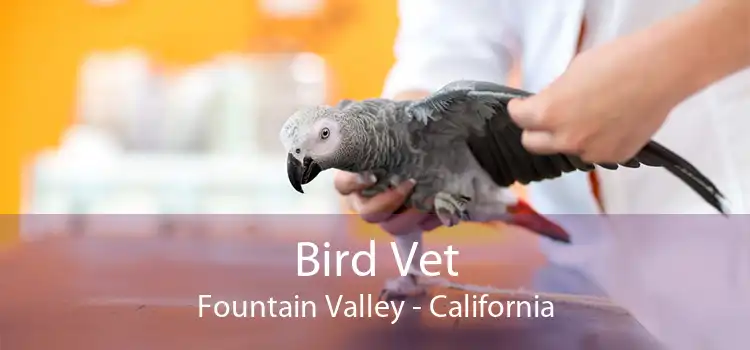 Bird Vet Fountain Valley - California