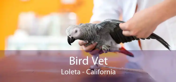 Bird Vet Loleta - California