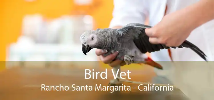 Bird Vet Rancho Santa Margarita - California