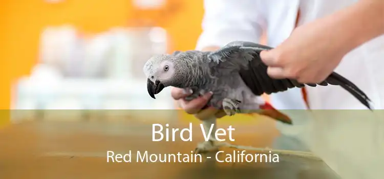 Bird Vet Red Mountain - California