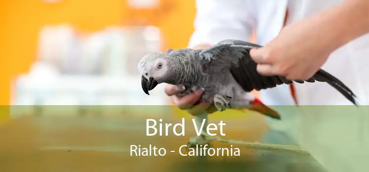 Bird Vet Rialto - California