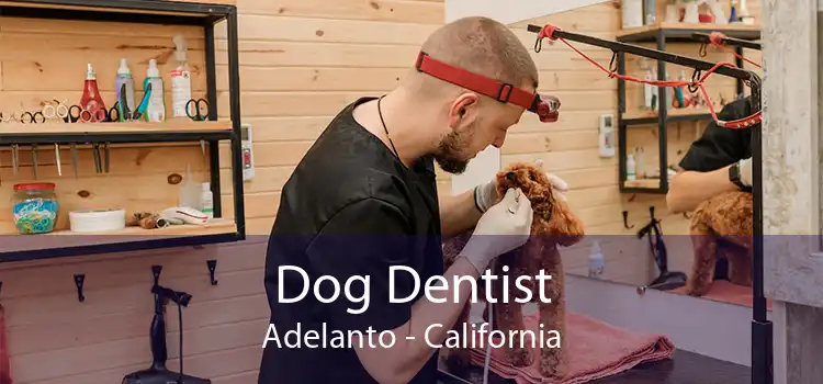 Dog Dentist Adelanto - California