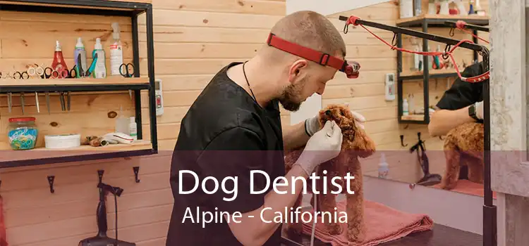 Dog Dentist Alpine - California
