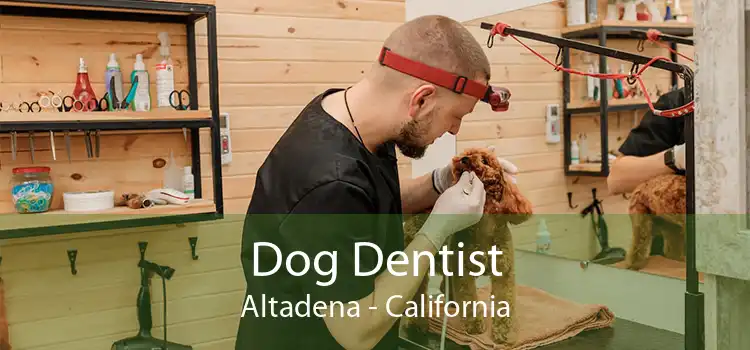 Dog Dentist Altadena - California