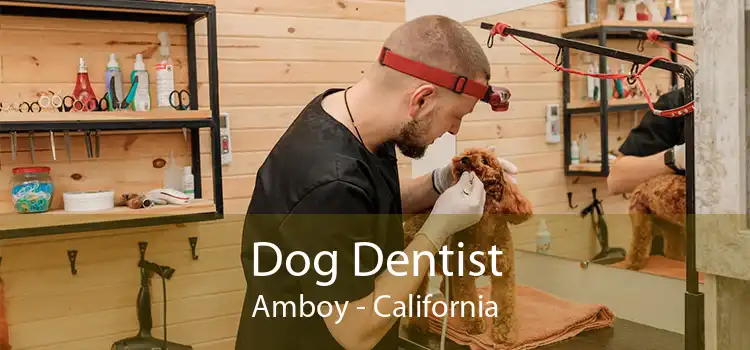 Dog Dentist Amboy - California