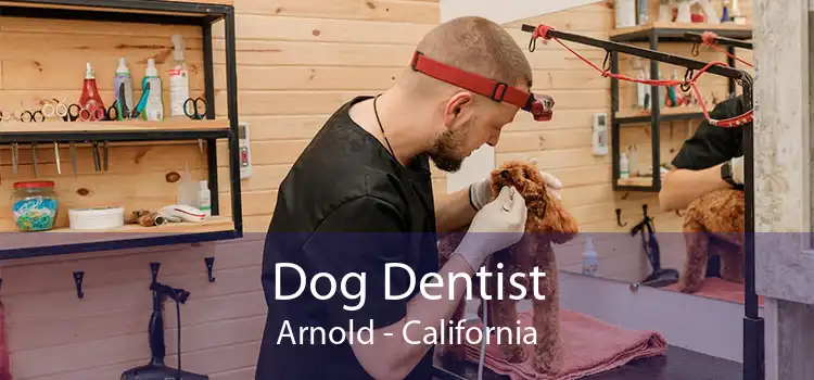Dog Dentist Arnold - California