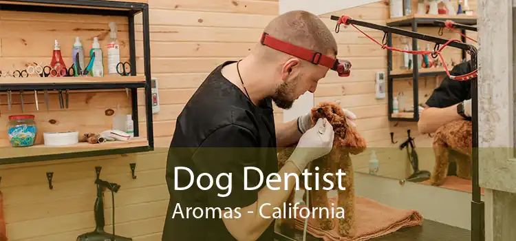 Dog Dentist Aromas - California