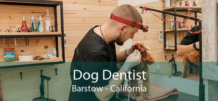 Dog Dentist Barstow - California