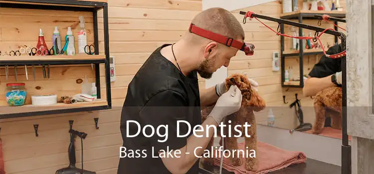 Dog Dentist Bass Lake - California