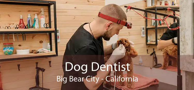 Dog Dentist Big Bear City - California