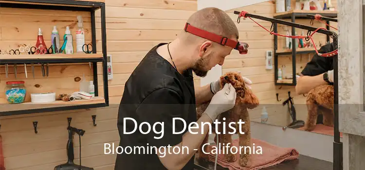 Dog Dentist Bloomington - California