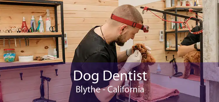 Dog Dentist Blythe - California