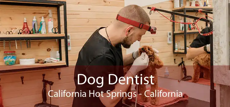 Dog Dentist California Hot Springs - California