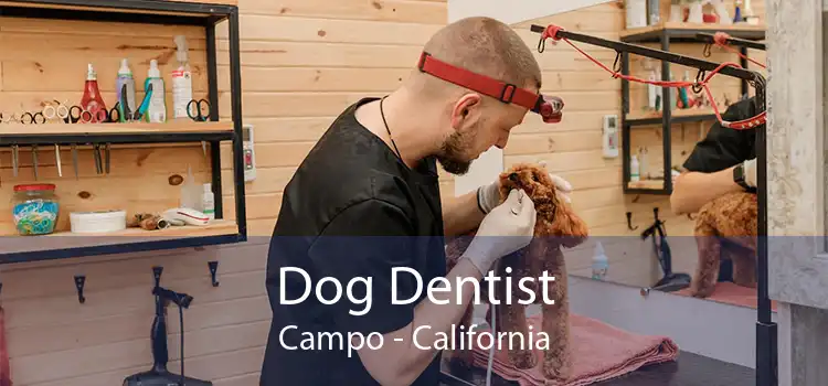 Dog Dentist Campo - California