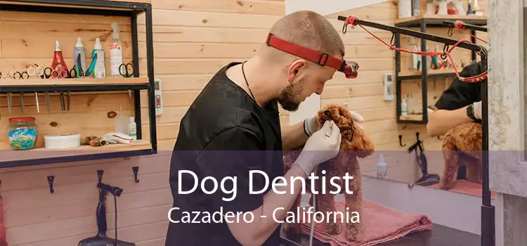 Dog Dentist Cazadero - California