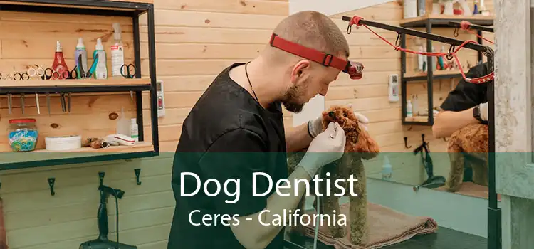 Dog Dentist Ceres - California