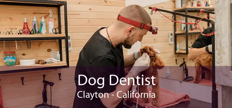 Dog Dentist Clayton - California