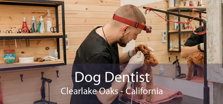 Dog Dentist Clearlake Oaks - California