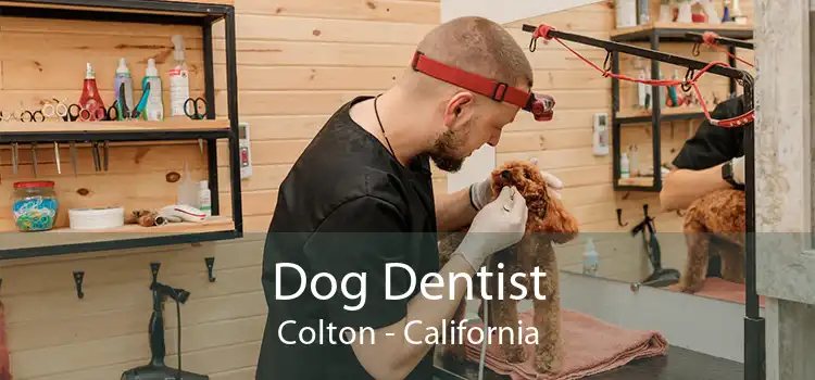 Dog Dentist Colton - California