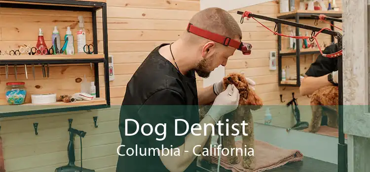 Dog Dentist Columbia - California