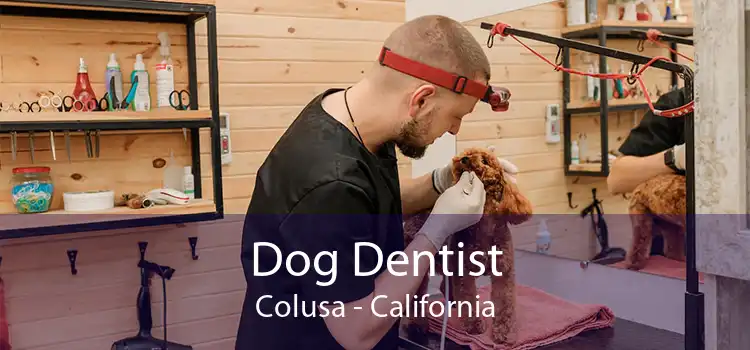 Dog Dentist Colusa - California