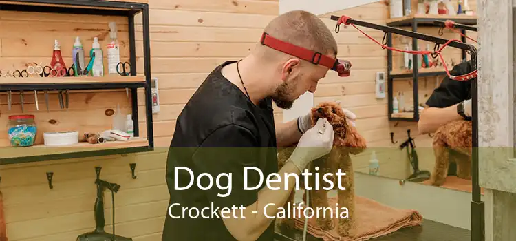 Dog Dentist Crockett - California