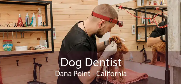 Dog Dentist Dana Point - California