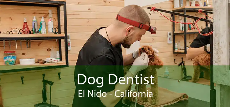 Dog Dentist El Nido - California