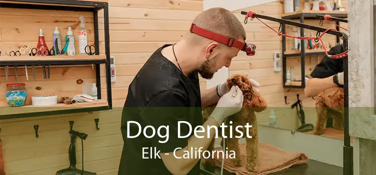 Dog Dentist Elk - California