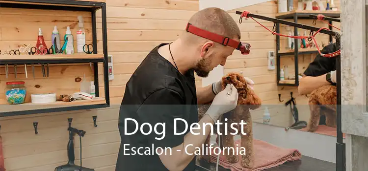 Dog Dentist Escalon - California