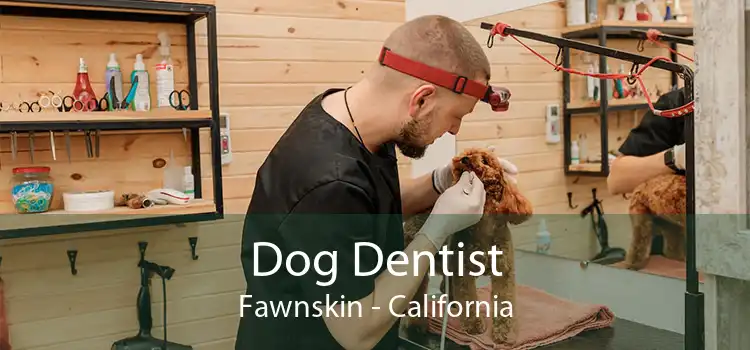 Dog Dentist Fawnskin - California