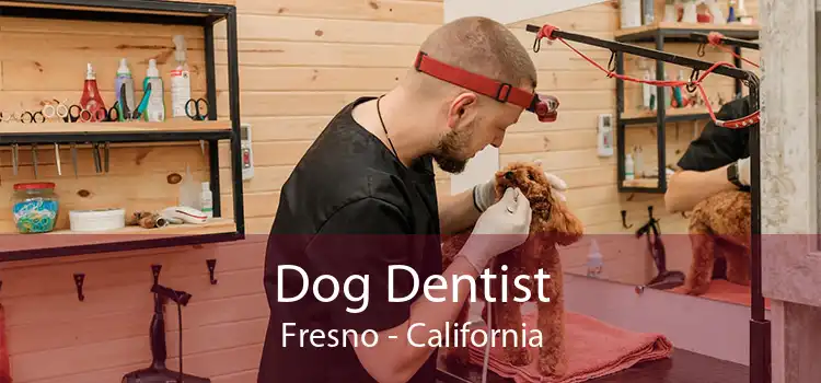 Dog Dentist Fresno - California