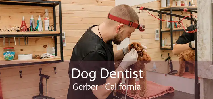 Dog Dentist Gerber - California