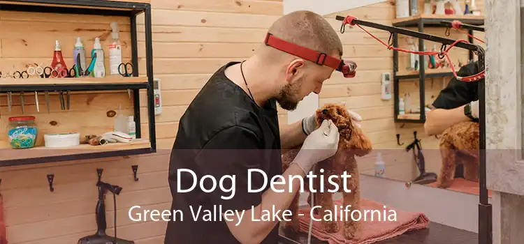 Dog Dentist Green Valley Lake - California