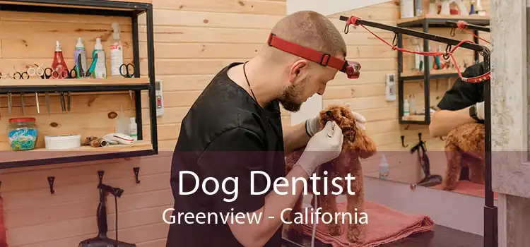 Dog Dentist Greenview - California