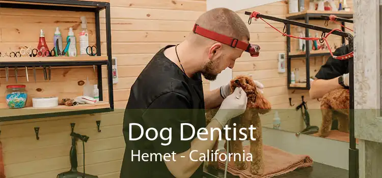 Dog Dentist Hemet - California