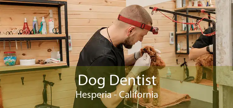 Dog Dentist Hesperia - California